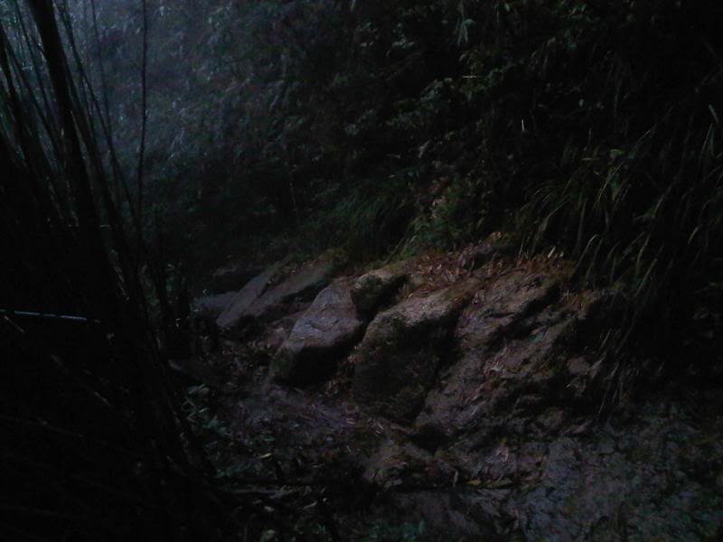 2011_561.jpg
