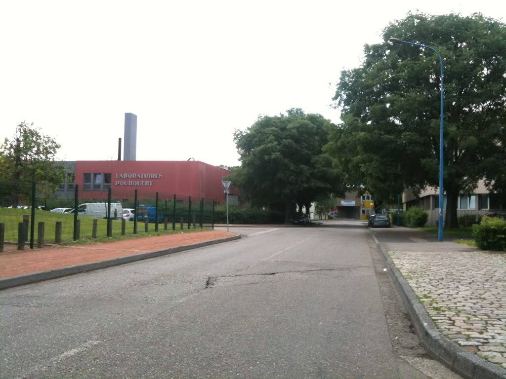 IMG_0036.jpg