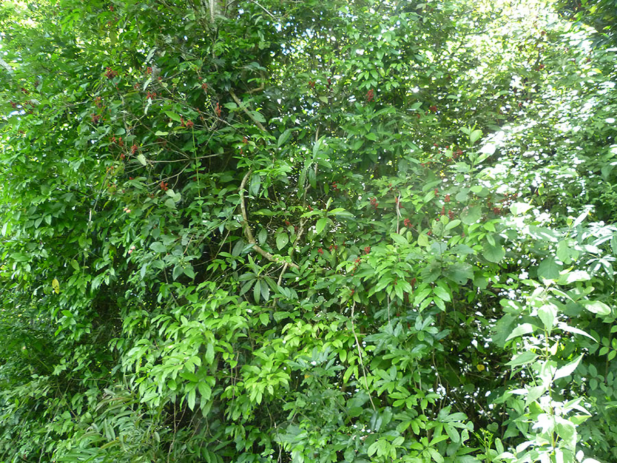 P1070252_zps4e731a9d.jpg