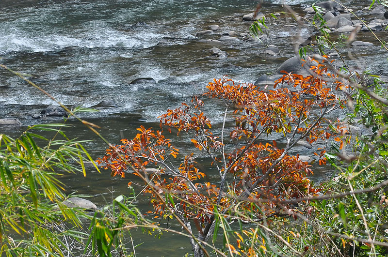 DSC_8739.jpg