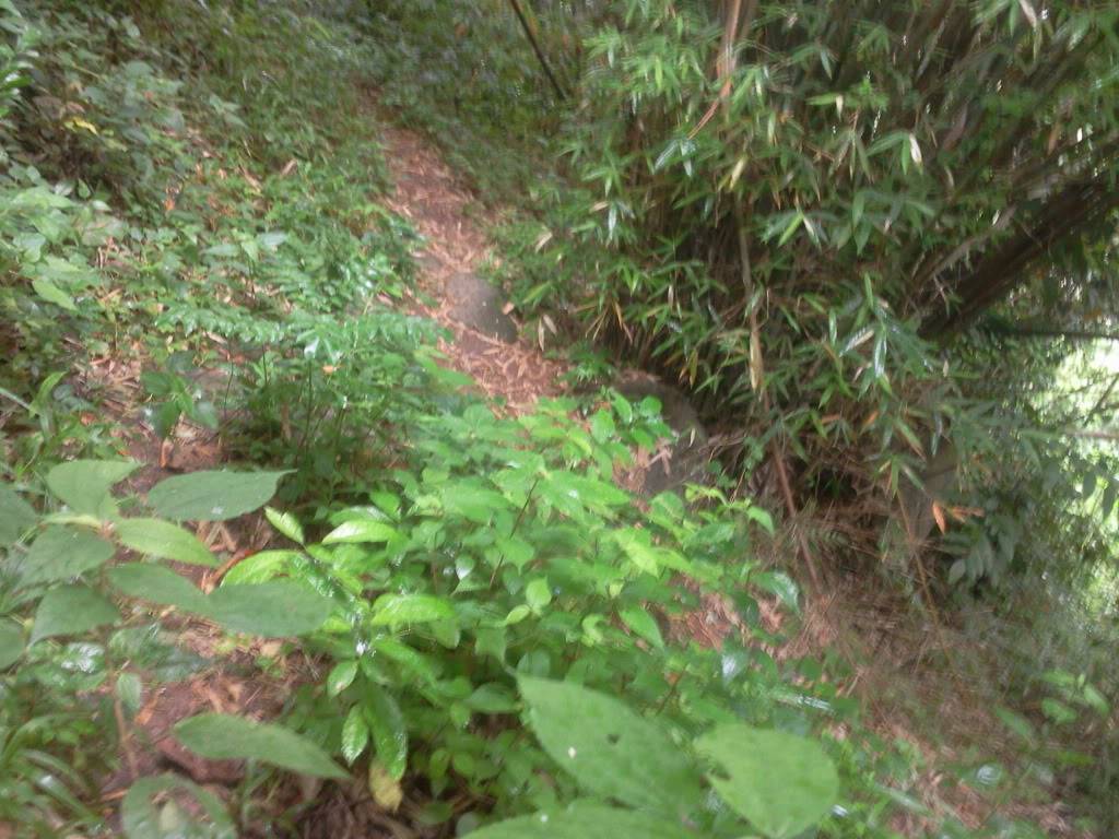 Photo0807.jpg