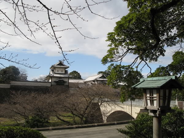 IMG_1779_resize.jpg