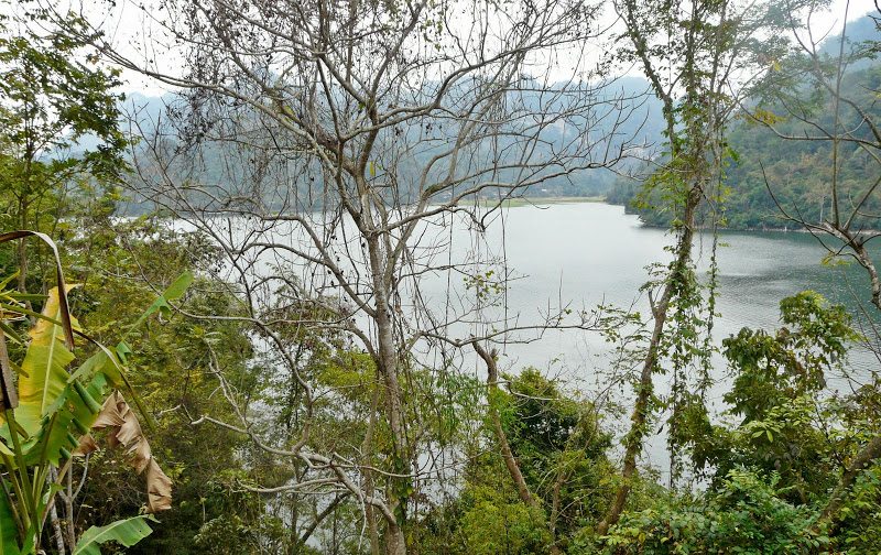 P1050623.JPG