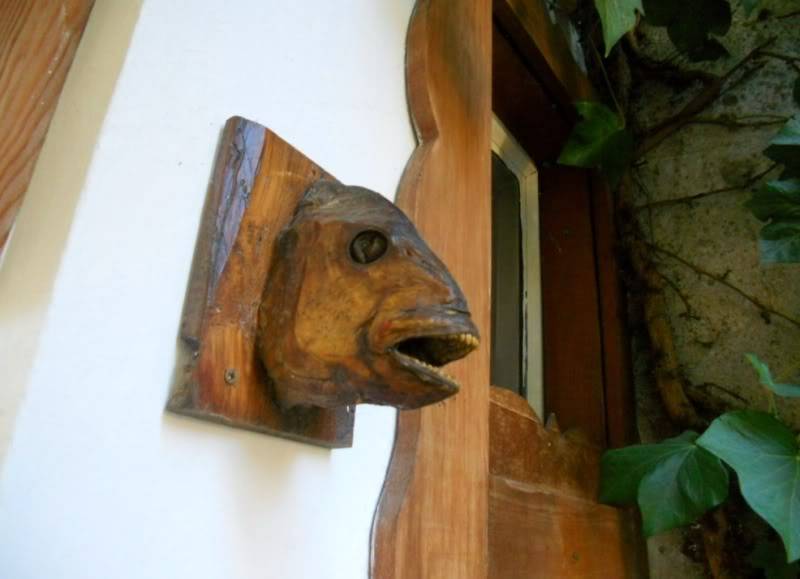 DSCN5143.jpg