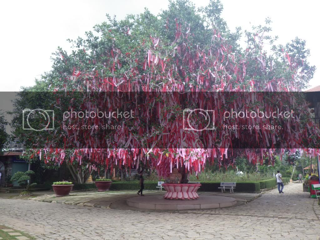 104_zpsa465bb24.jpg