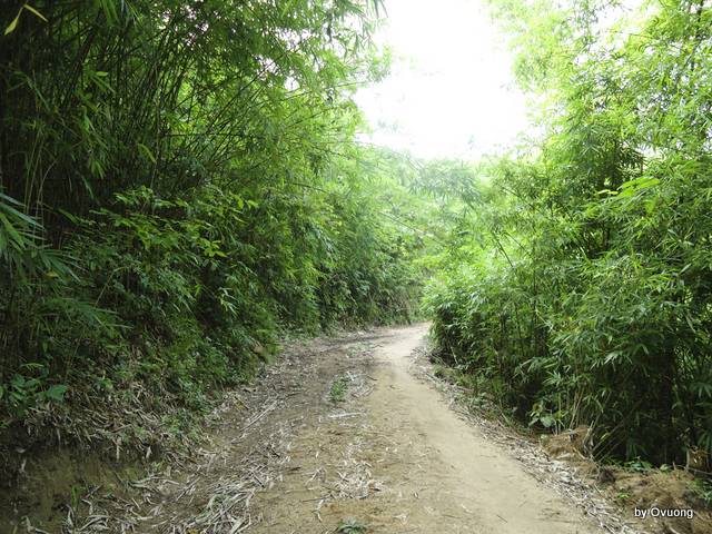 DSC03809.jpg