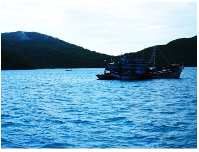 Condao7.jpg