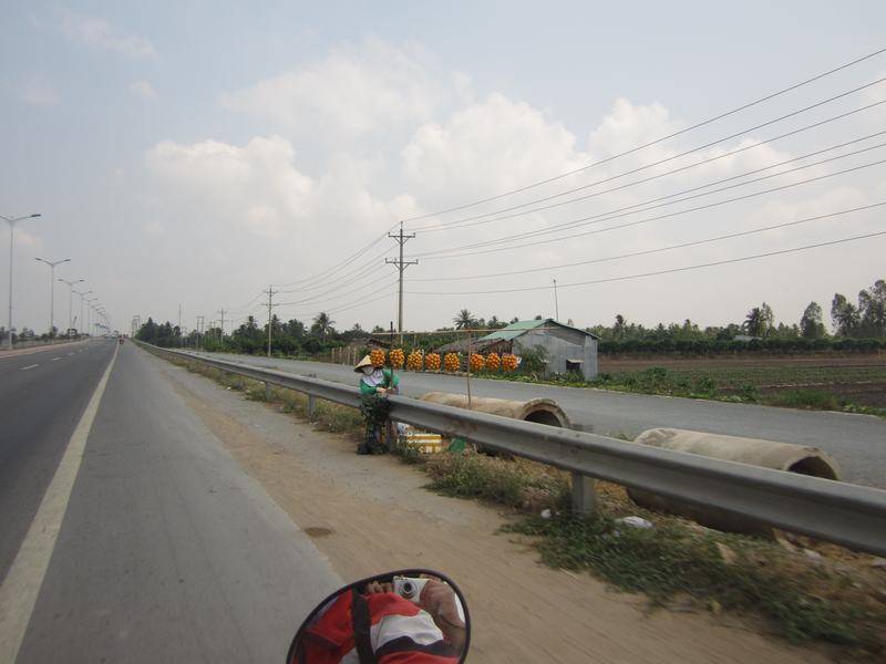 IMG_1125_zps55846ef6.jpg