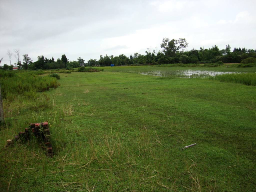 DSC00825.jpg