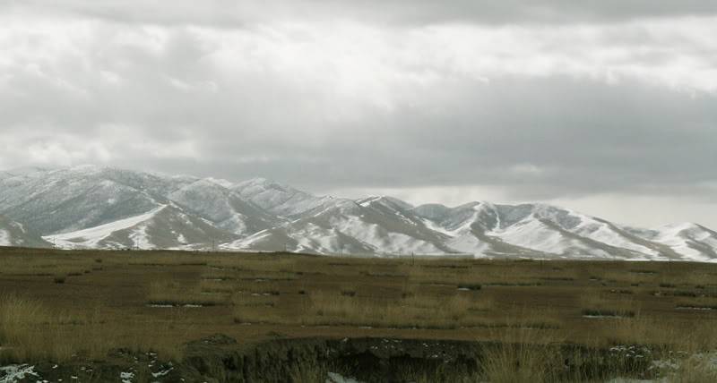 tibetbai2.jpg