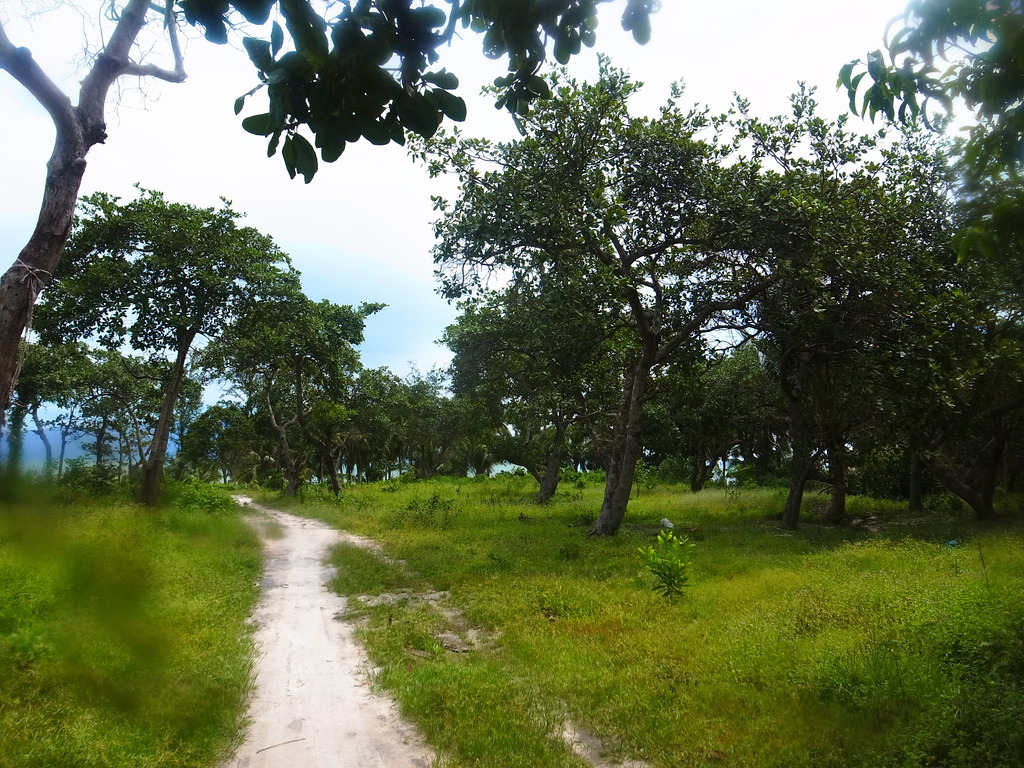 RIMG0052_zpsdb8n3toe.jpg