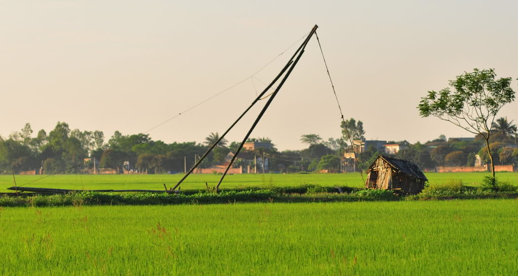 DSC_0017.jpg