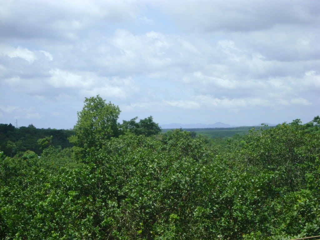 DSC03279.jpg