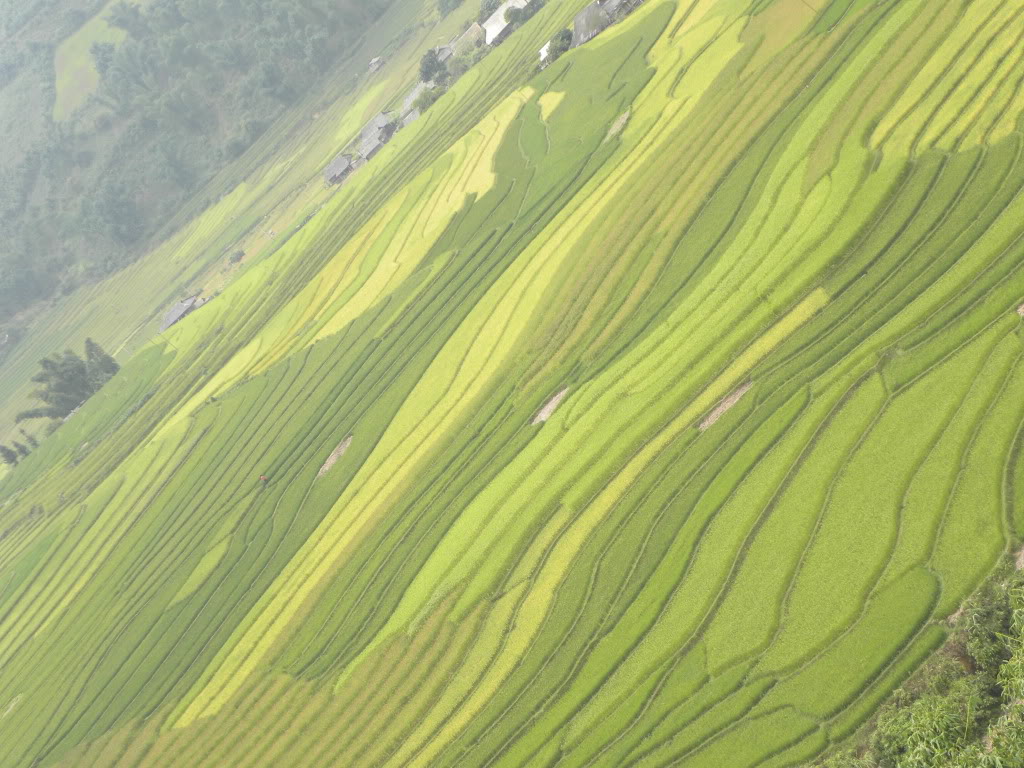 DSCN8008.jpg