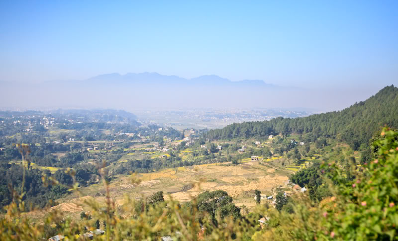 IMG_4602.jpg