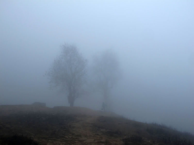 HongNgai2011496.jpg