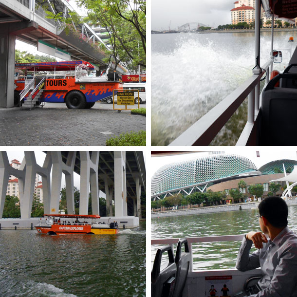 ducktour.jpg