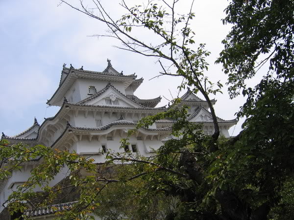 IMG_0545_resize.jpg
