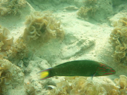 P4200208.JPG