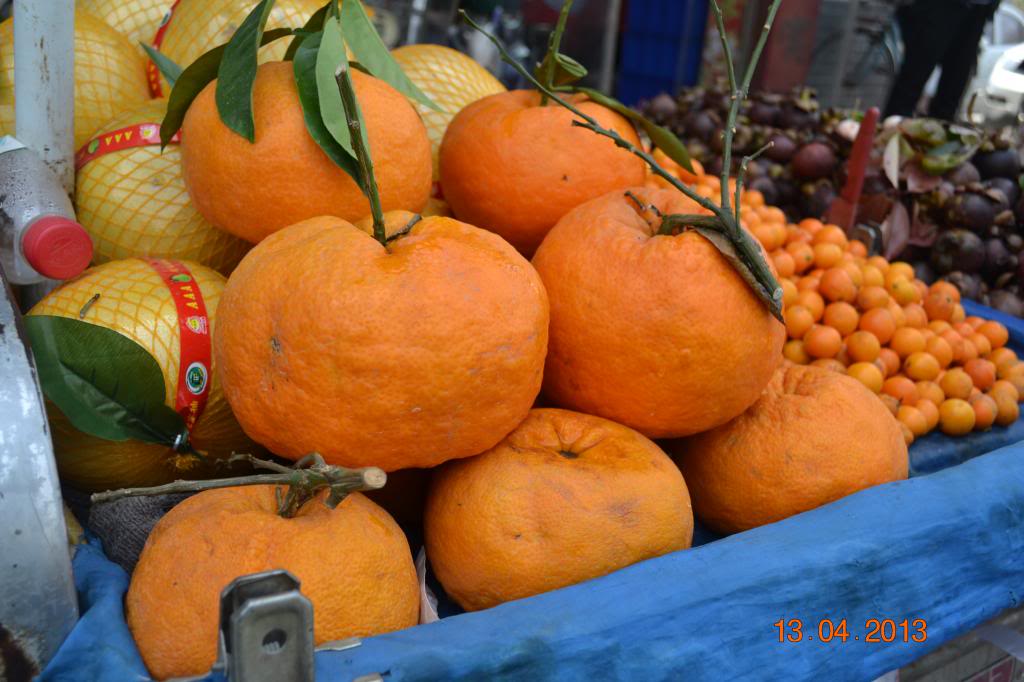 DSC_0862_zpsbdc337bf.jpg