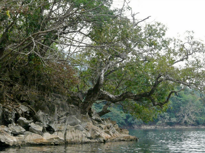 P1050573.JPG