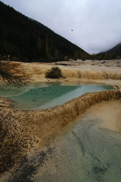 hoanglong151.jpg