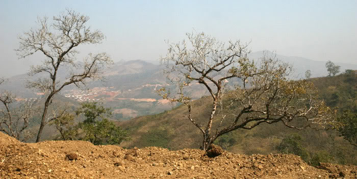 120.jpg