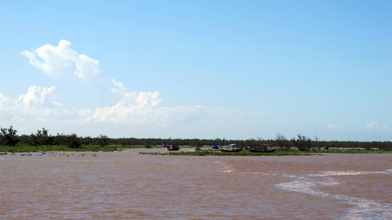 IMG_8361.jpg