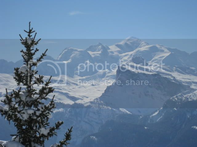 IMG_0699-1.jpg