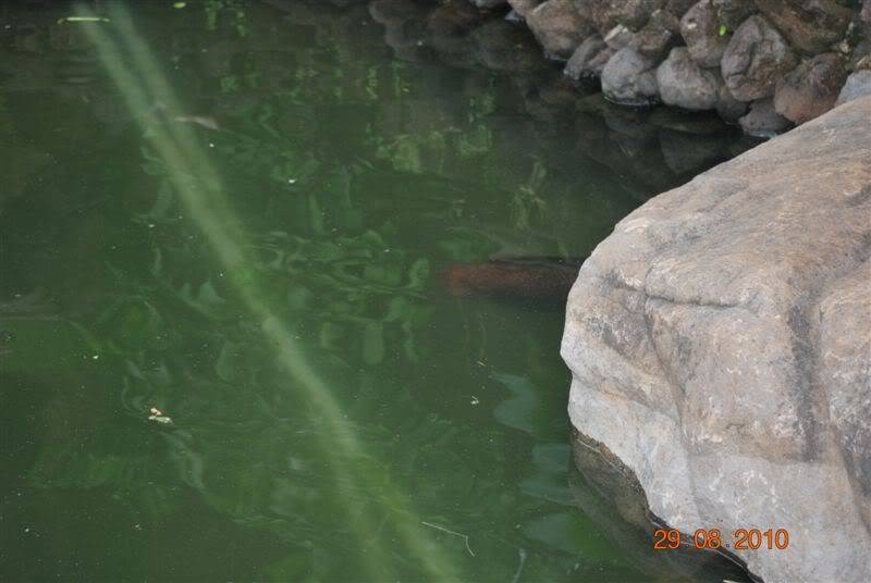 DSC_1702.jpg