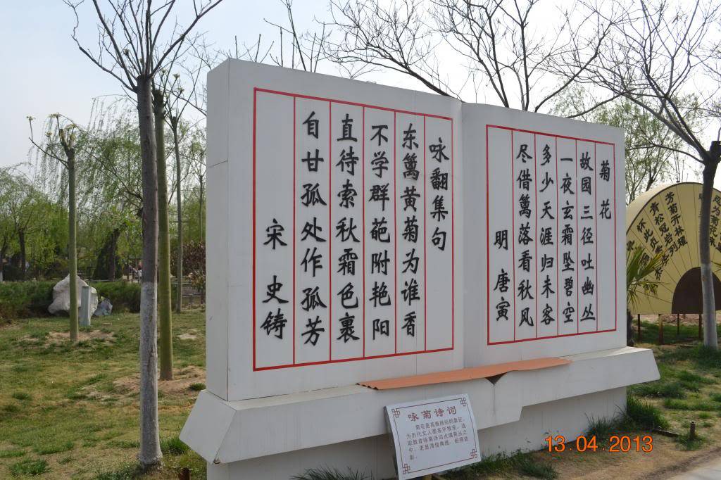 DSC_0958_zps36be5456.jpg