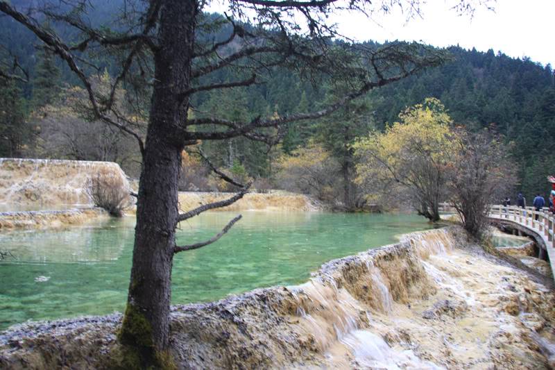 hoanglong202.jpg