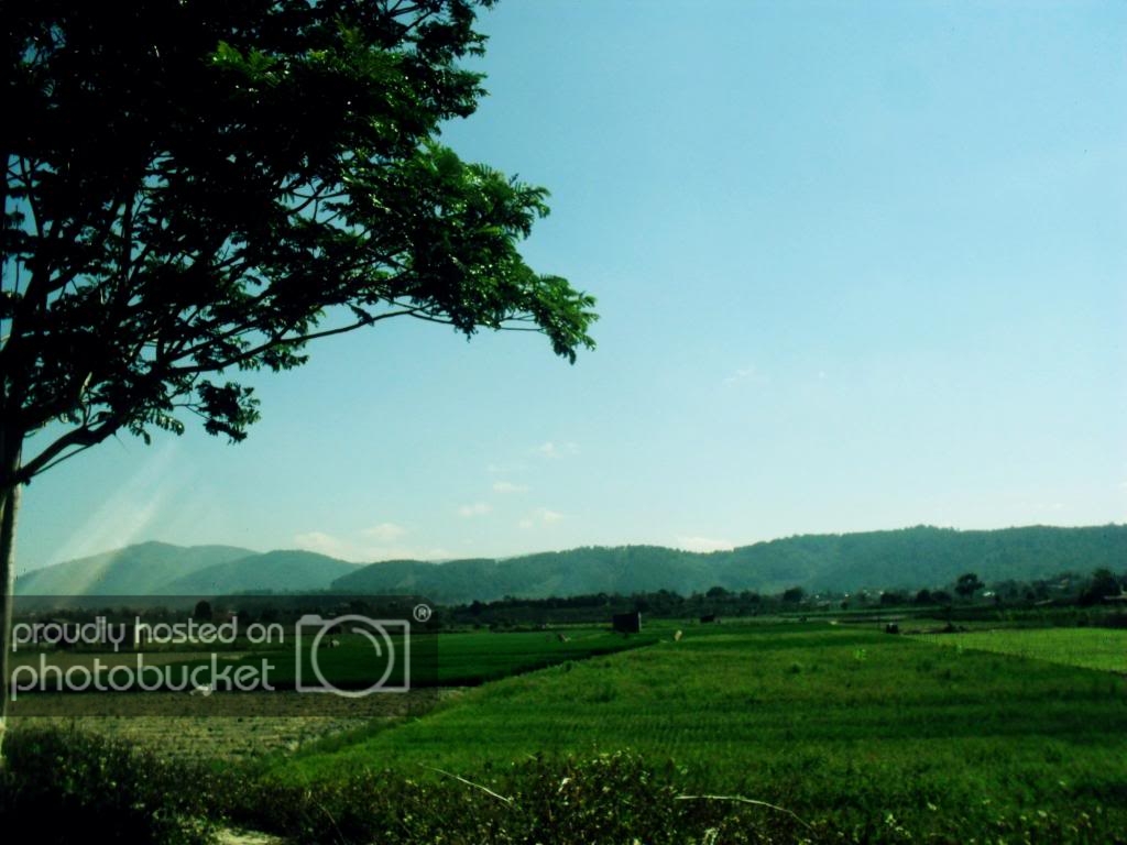 SAM_0089_526F672C.jpg