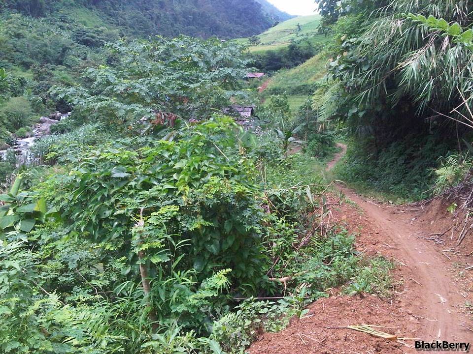 IMG-20120923-00171.jpg