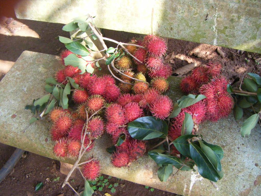 DSCF9470.jpg