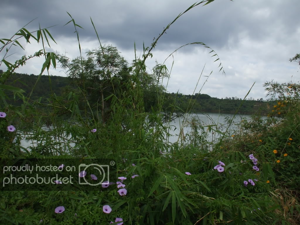 DSCF3547.jpg
