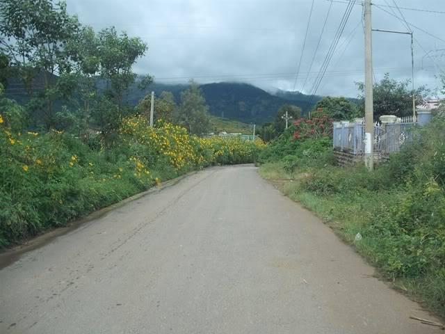 DSCF3188.jpg
