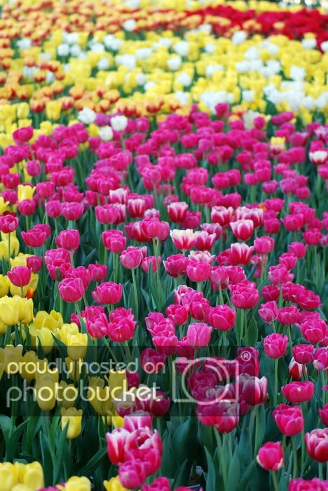 DSC_5678_resize.jpg
