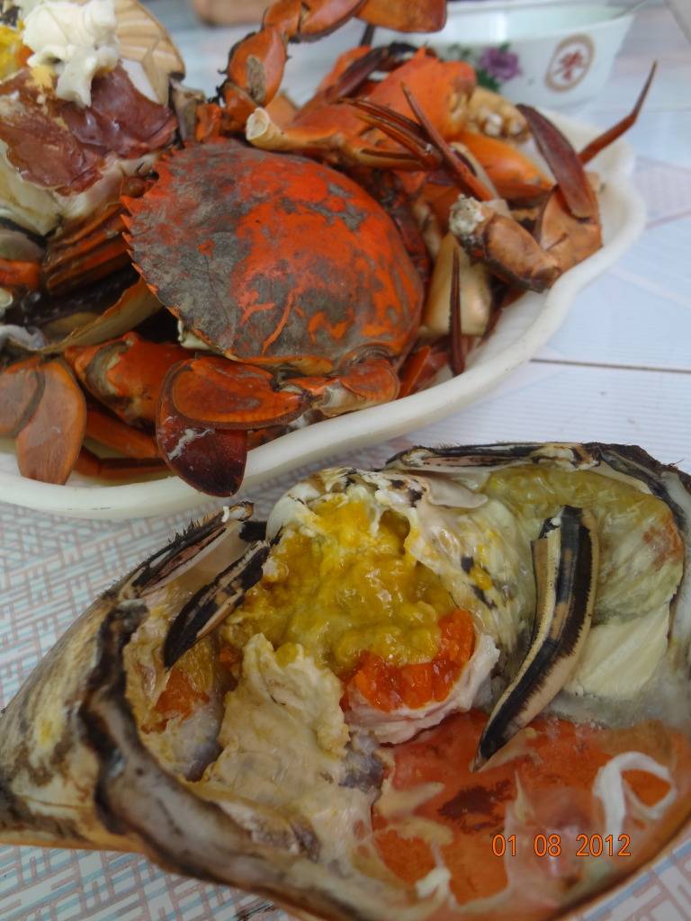 DSC00354-1.jpg