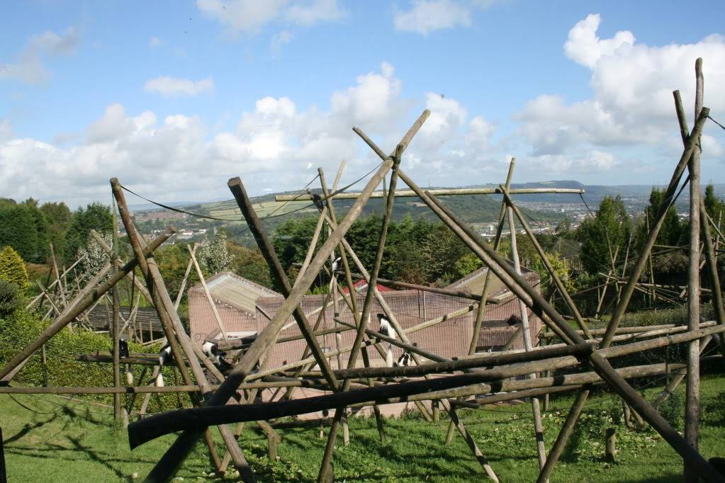 051-1.jpg