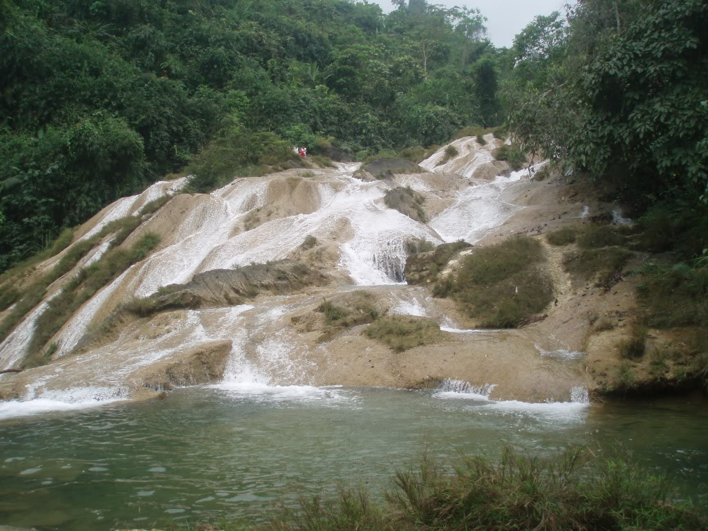 P1011981.jpg