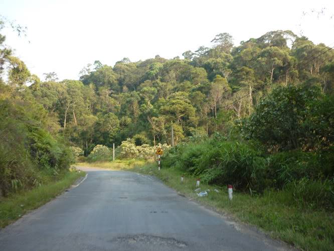 P1070460.jpg