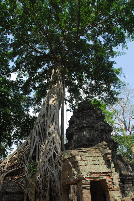 DSC_0055.JPG