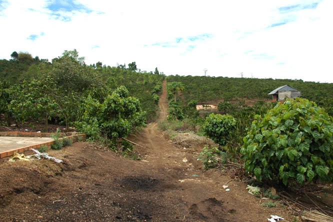 DSC_3115.jpg