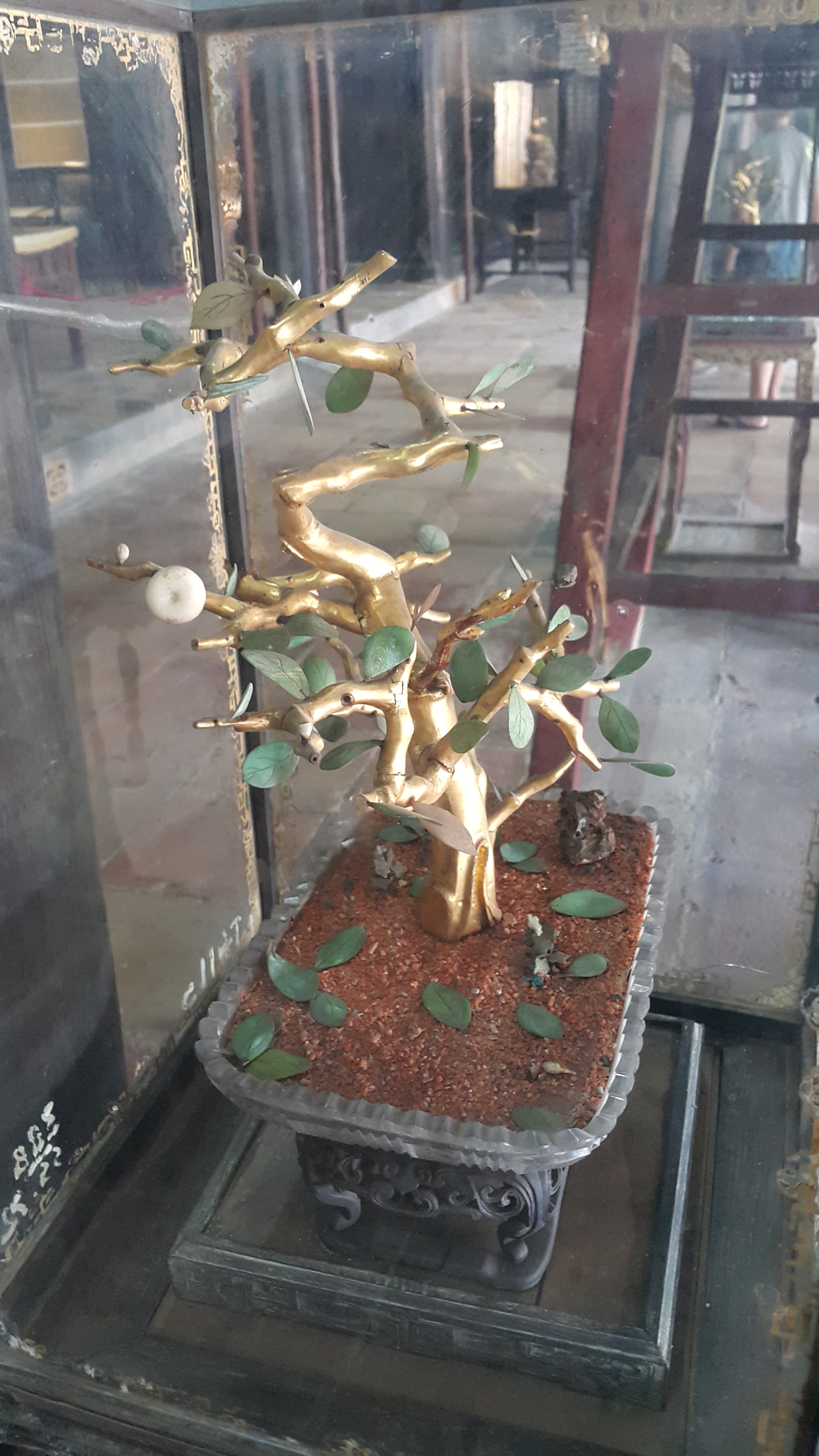 20170617_104115.jpg