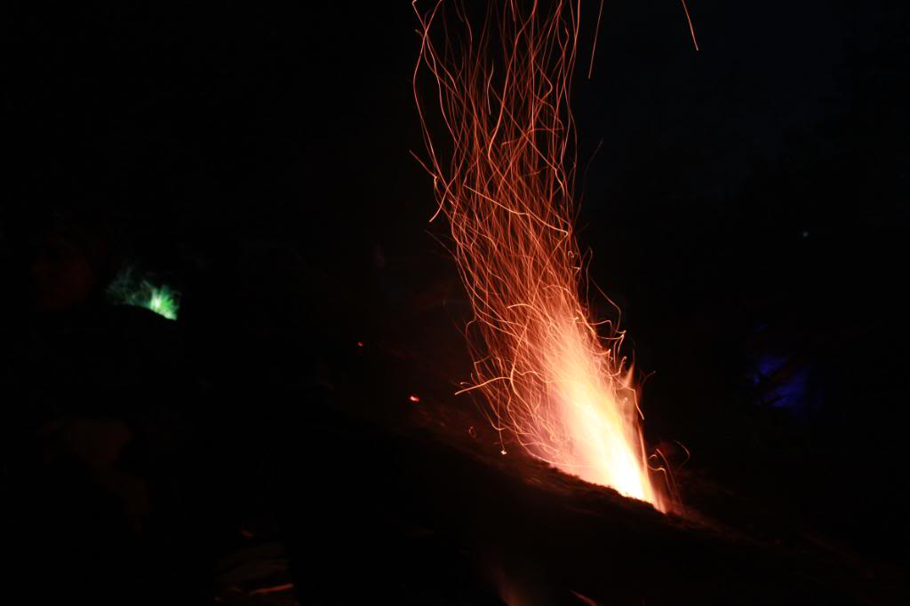IMG_8927.jpg