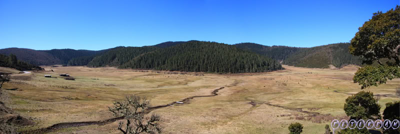 shangri-la237.jpg