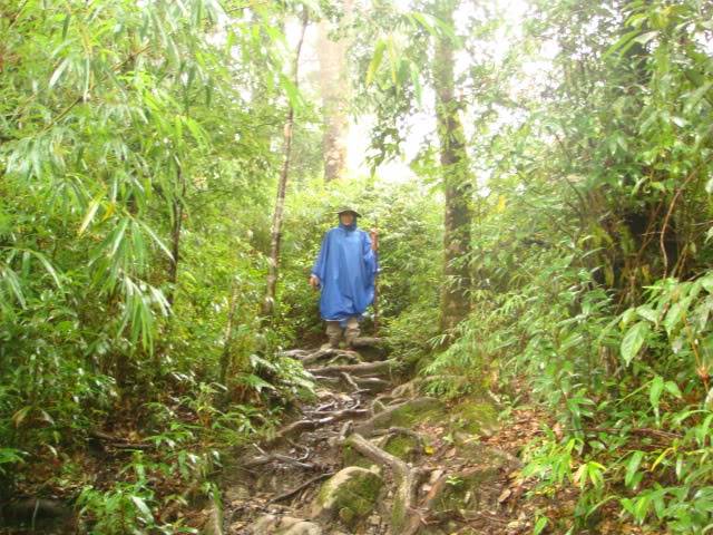 DSC01295.jpg