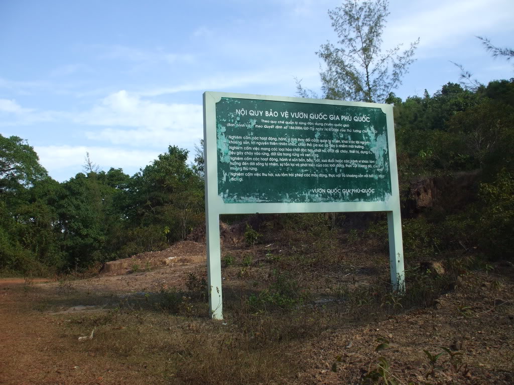 DSCF4808.jpg