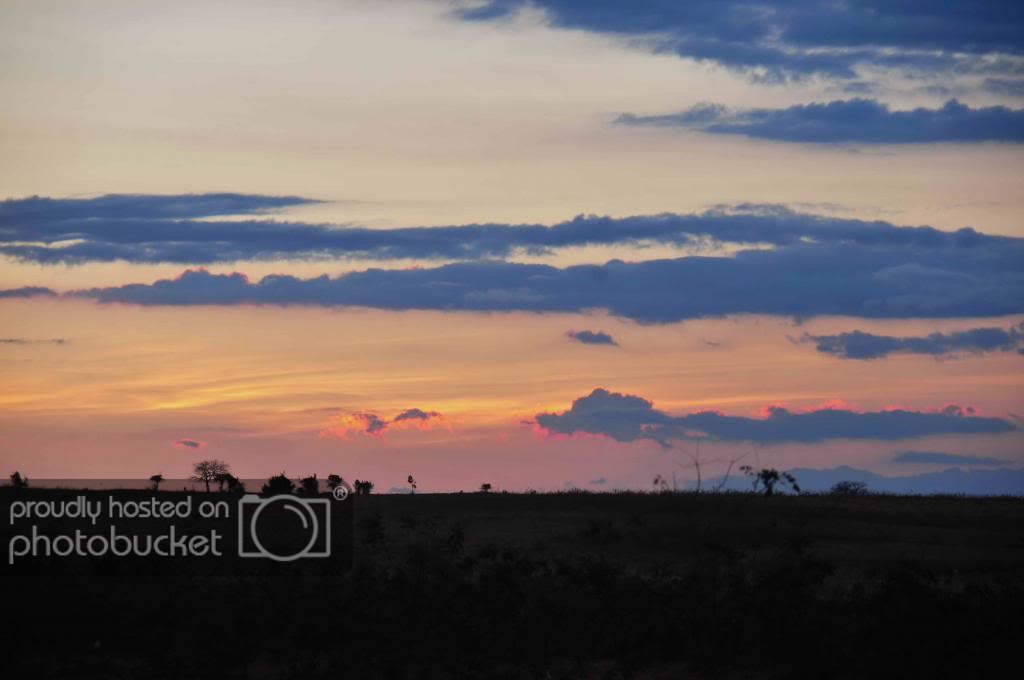 DSC_2437_zps6a6e3127.jpg